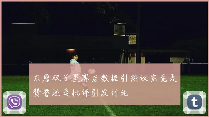 东詹双子星赛后数据引热议究竟是赞誉还是批评引发讨论