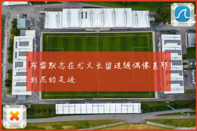 布雷默志在尤文长留追随偶像基耶利尼的足迹